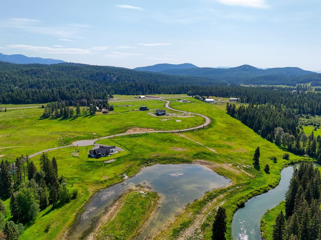 Open pasture and treeline at River Ranch