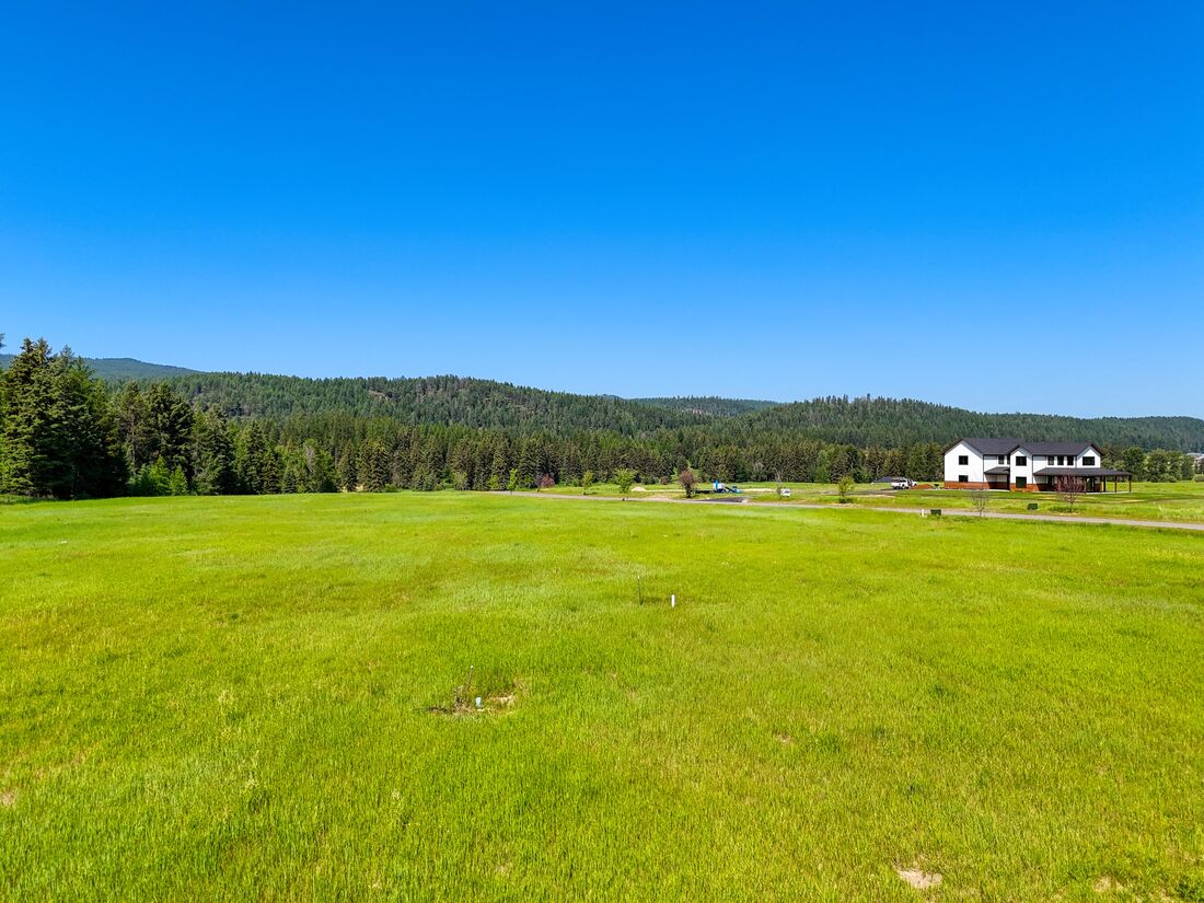 Wide aerial of the year-round pond and river at River Ranch