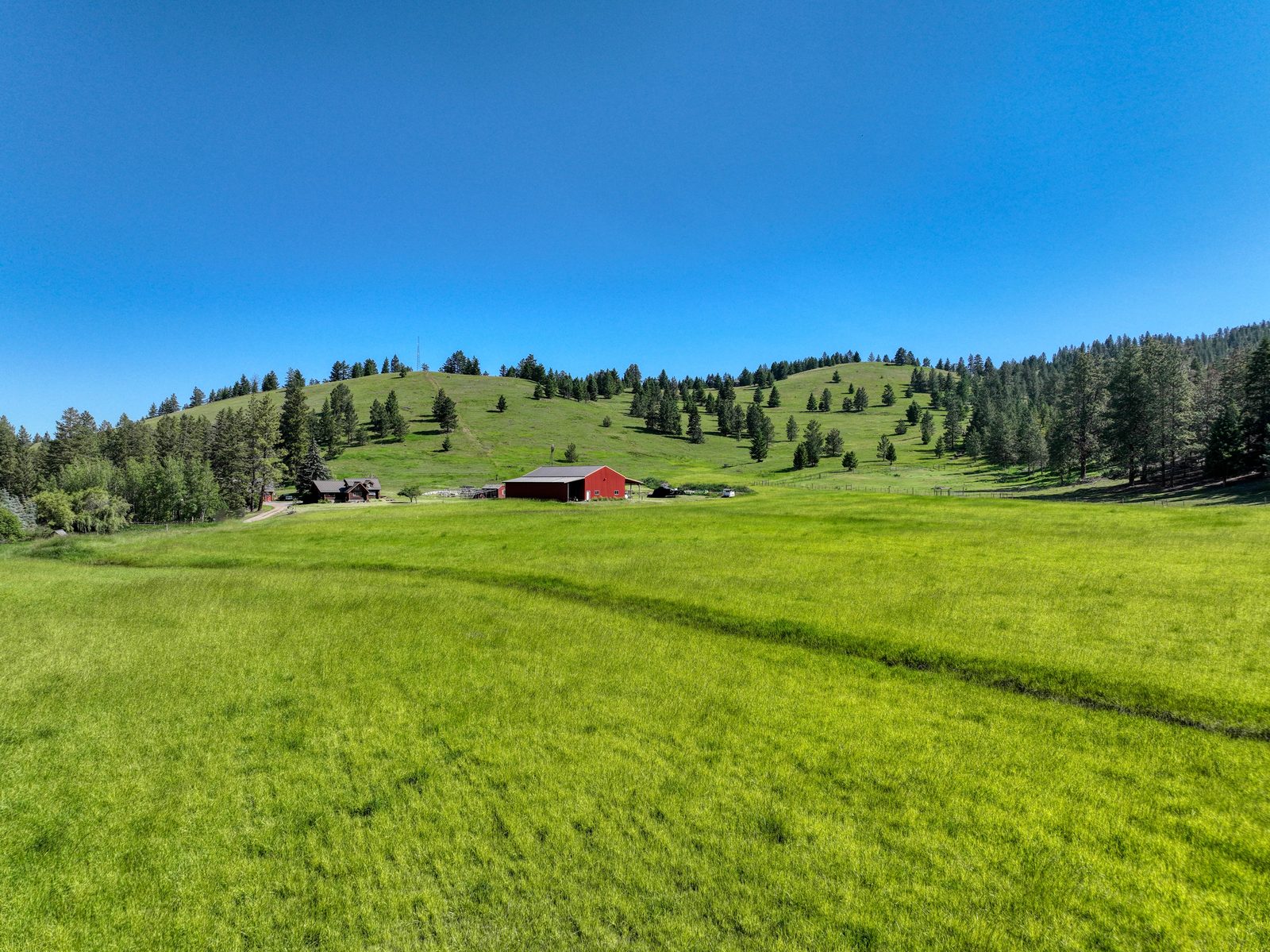 Green hay field and pasture rolling toward forested hills under a blue sky