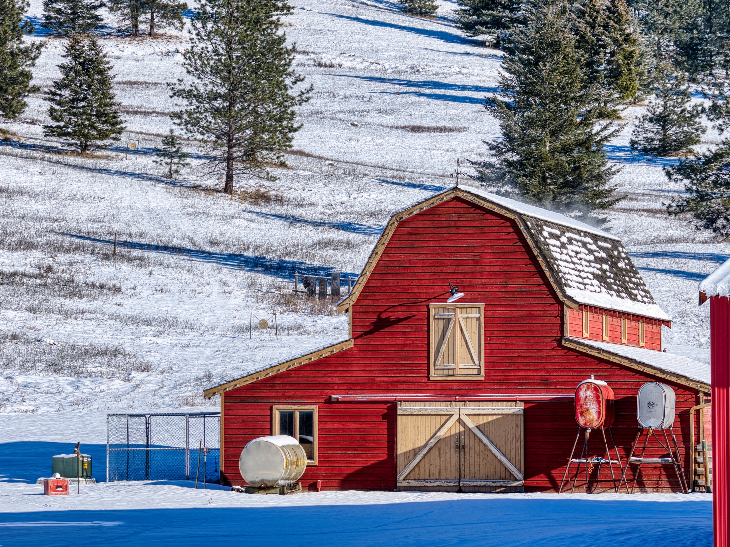 Red barn with evergreens and fresh snow under a blue Montana sky