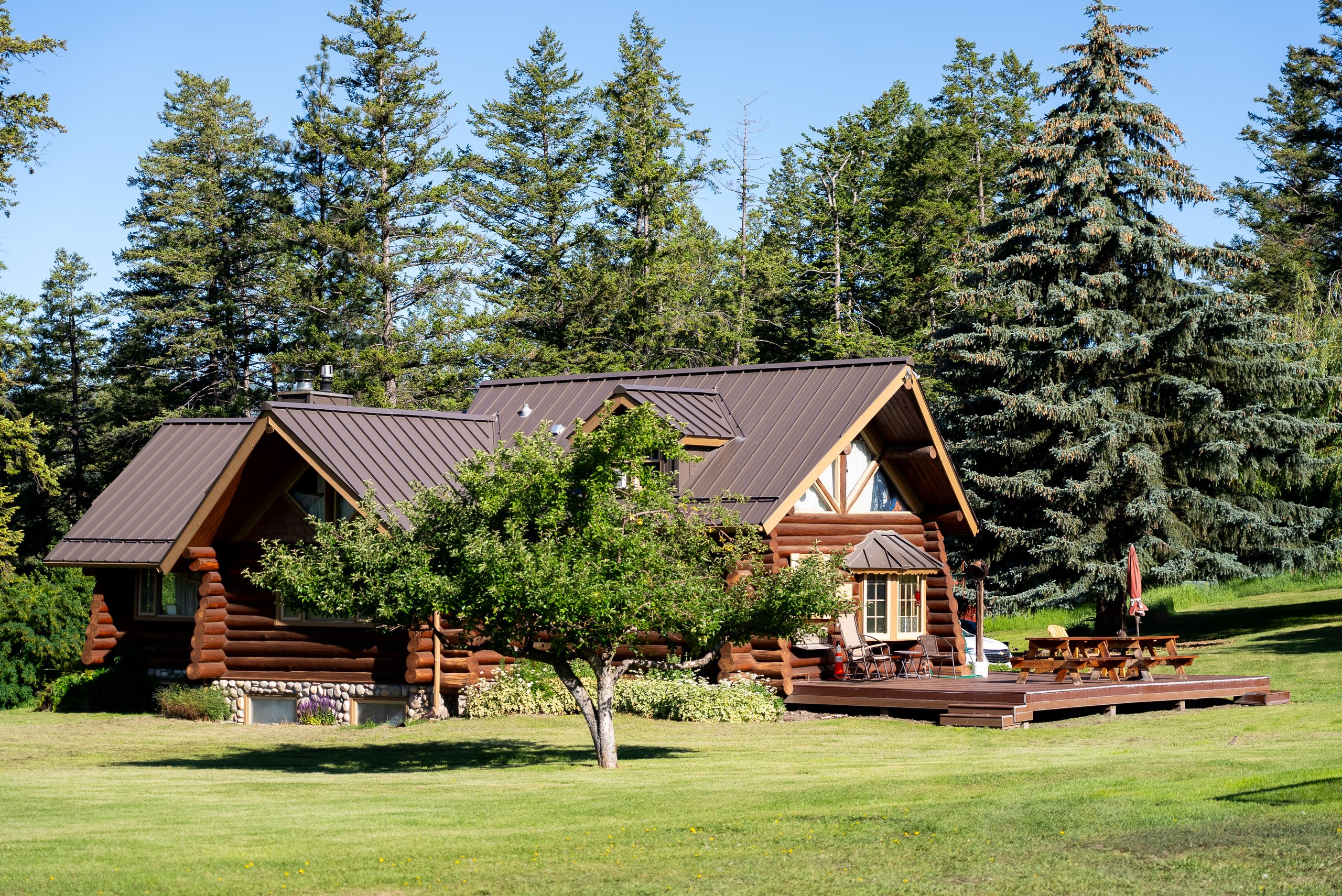 Log home framed by tall evergreens and green lawn